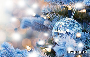 Новый год, новая жизнь